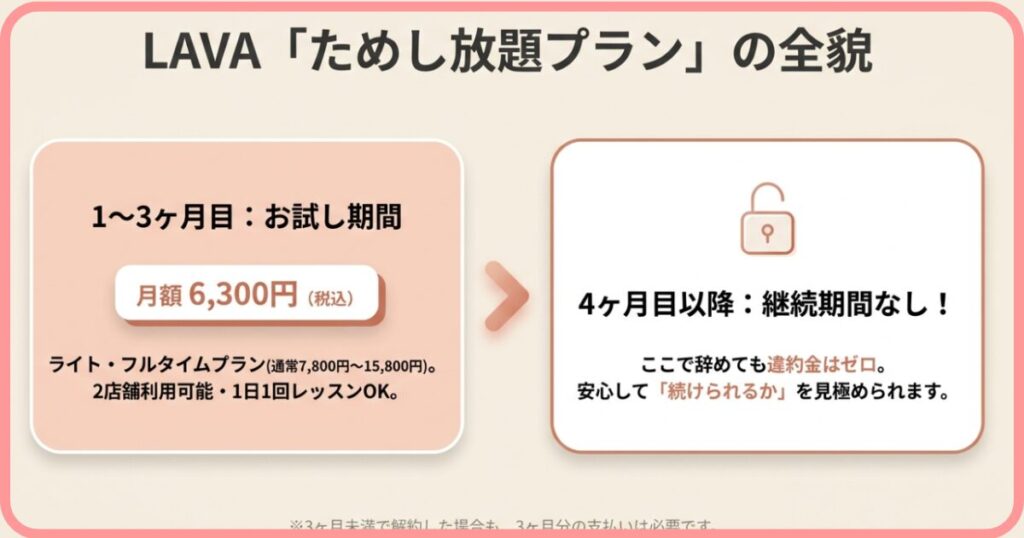 LAVA ためし放題 詳細