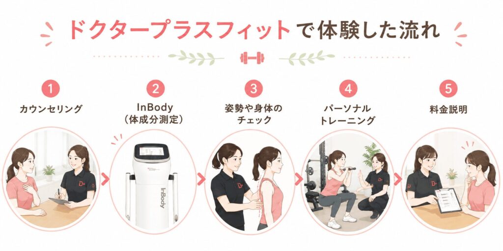ドクタープラスフィット　体験の流れ